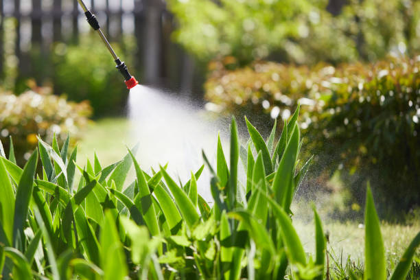 24/7 Emergency Fumigation Services experts in Sylvania, OH