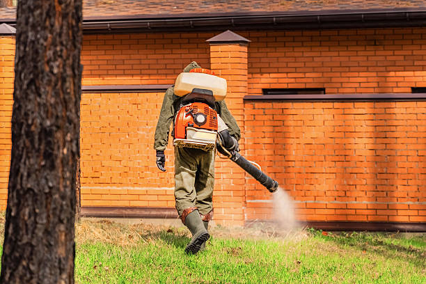 Trusted Termite Control service in Sylvania, OH - Nex Pest Control